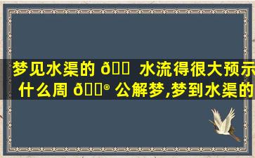 梦见水渠的 🐠 水流得很大预示什么周 💮 公解梦,梦到水渠的水快要溢出来了好吗